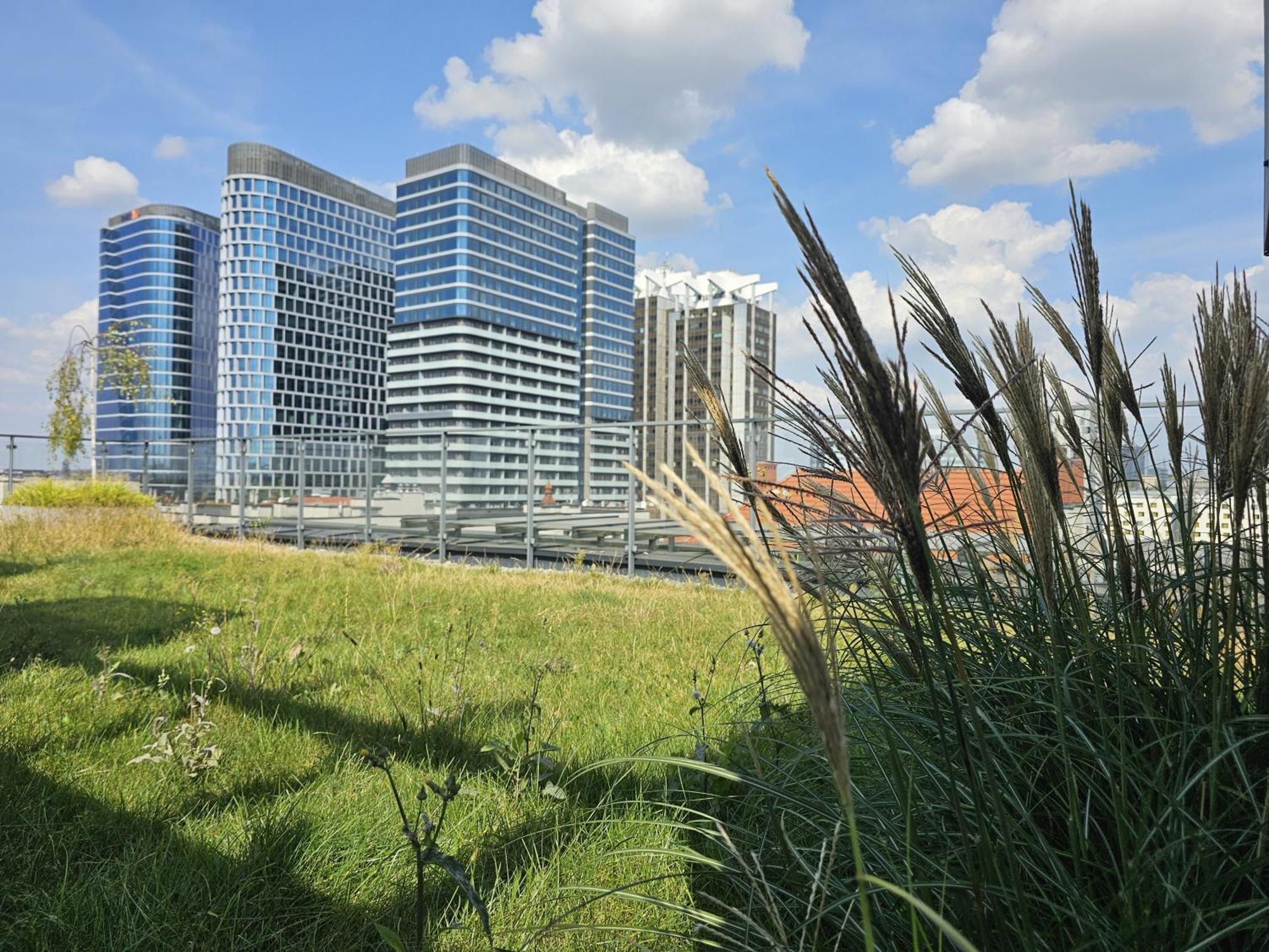 Urban Apartments Premium, Opolska 10 No 77A, Free Garage, Self Check-In Katowice Exteriör bild